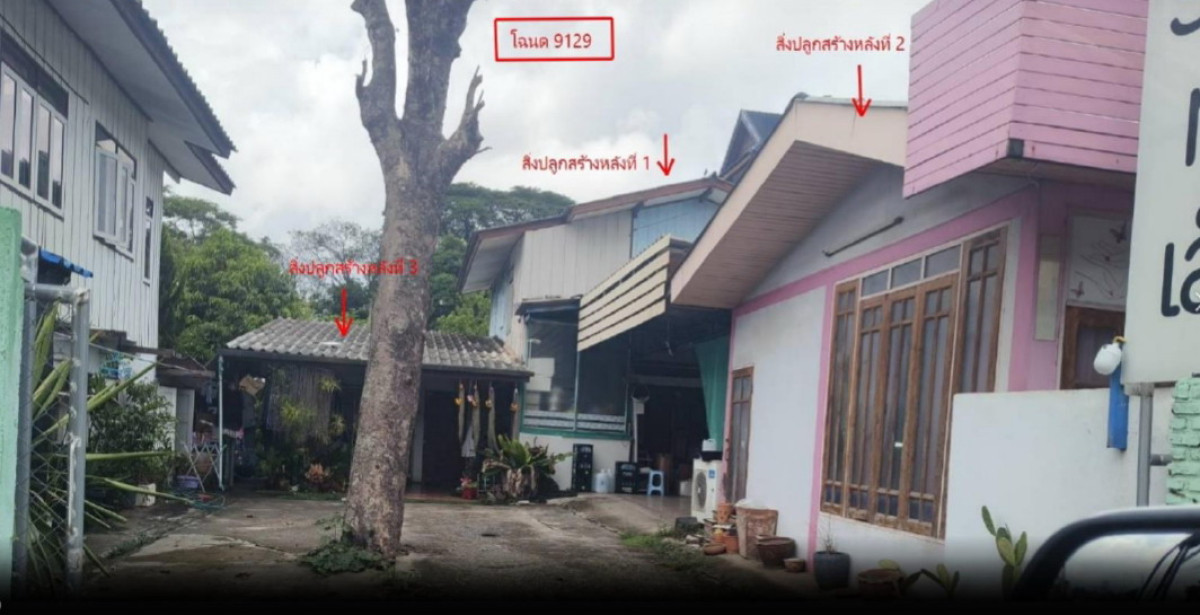 บ้านเดี่ยว พะเยา เมืองพะเยา ท่าวังทอง 1452360