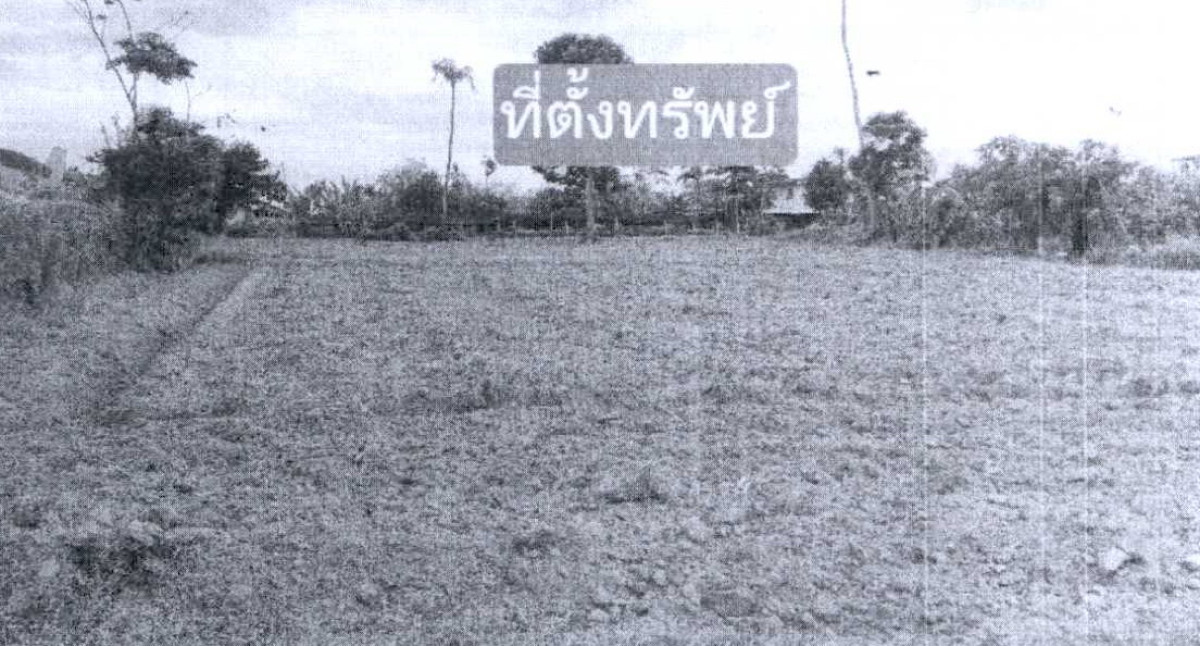 ที่ดินเปล่า เพชรบุรี ท่ายาง มาบปลาเค้า 310800