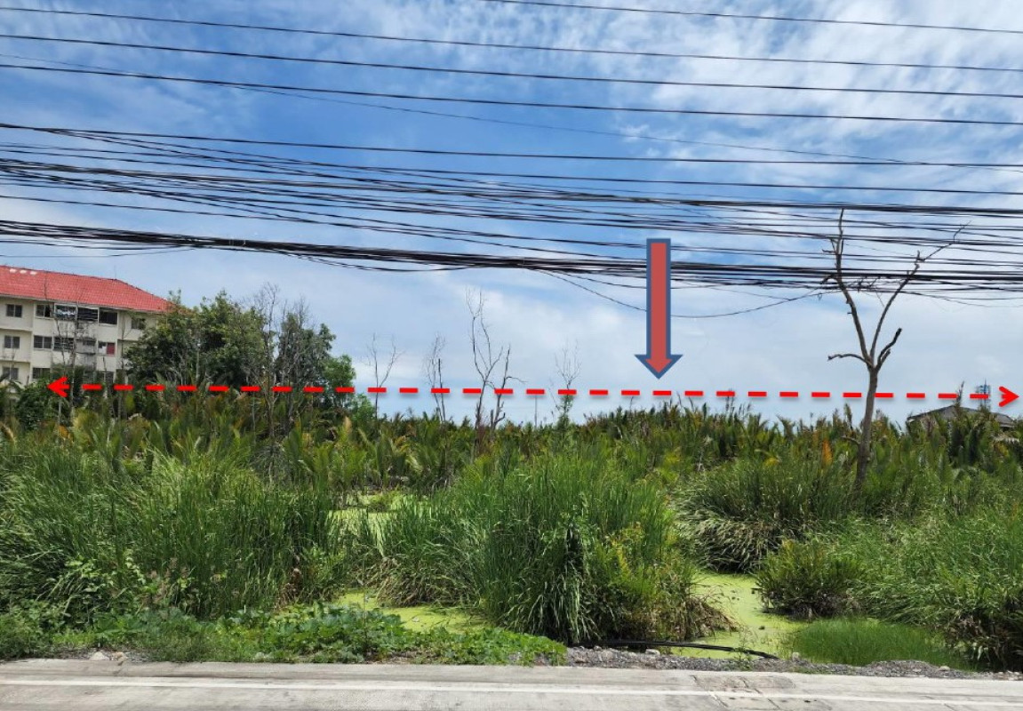 ที่ดินเปล่า สมุทรปราการ พระสมุทรเจดีย์ แหลมฟ้าผ่า 1517000