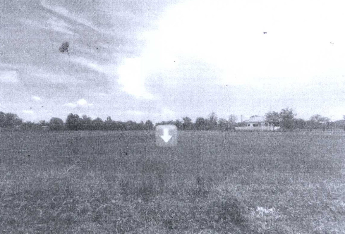 ที่ดินเปล่า เพชรบุรี เขาย้อย หนองชุมพล 2128109