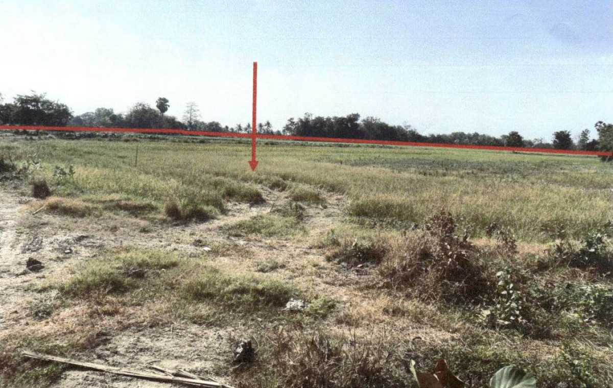 ที่ดินเปล่า พิษณุโลก บางระกำ ปลักแรด 508560