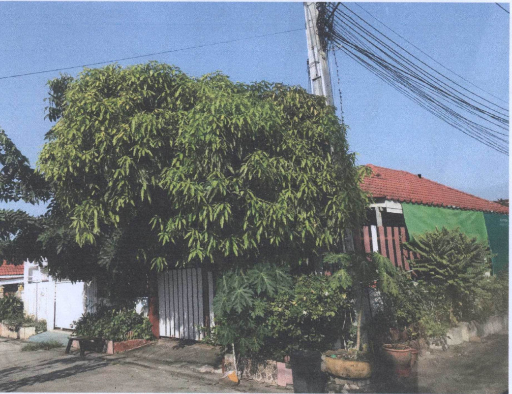 ทาวน์เฮ้าส์ ชลบุรี บางละมุง หนองปรือ 2509600