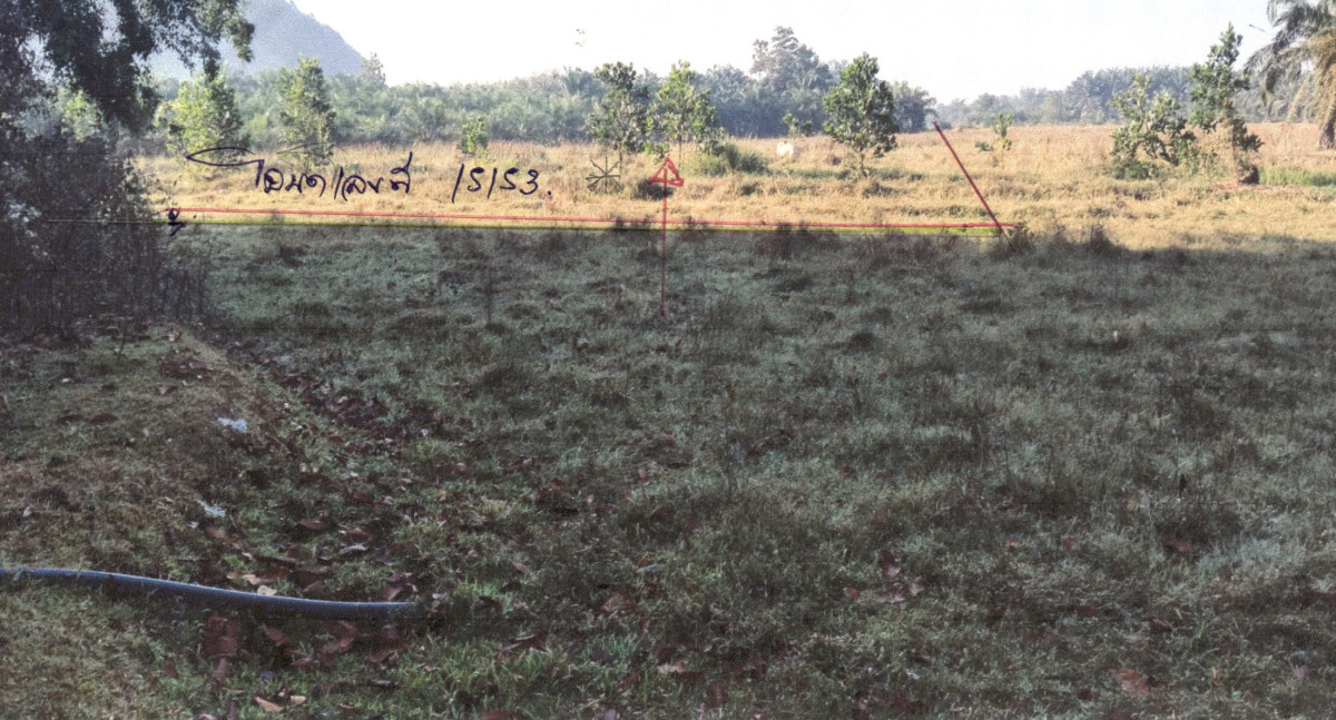 ที่ดินเปล่า ชุมพร เมืองชุมพร หาดพันไกร 611941