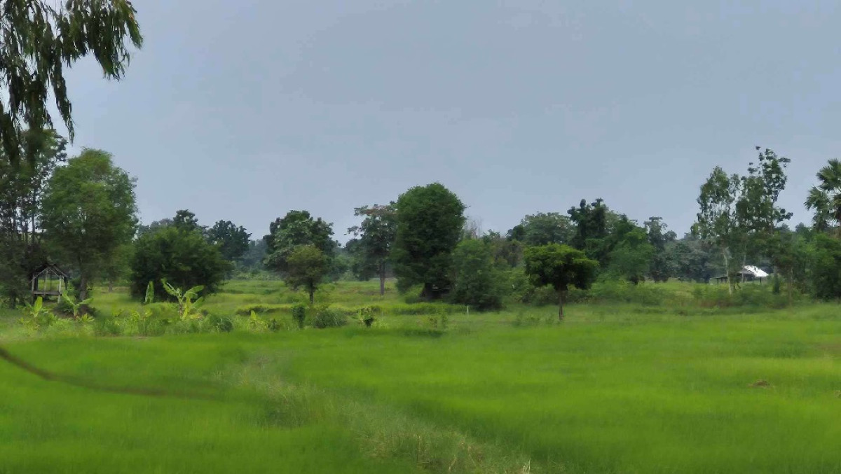 ที่ดินเปล่า ขอนแก่น พระยืน พระยืน 597000
