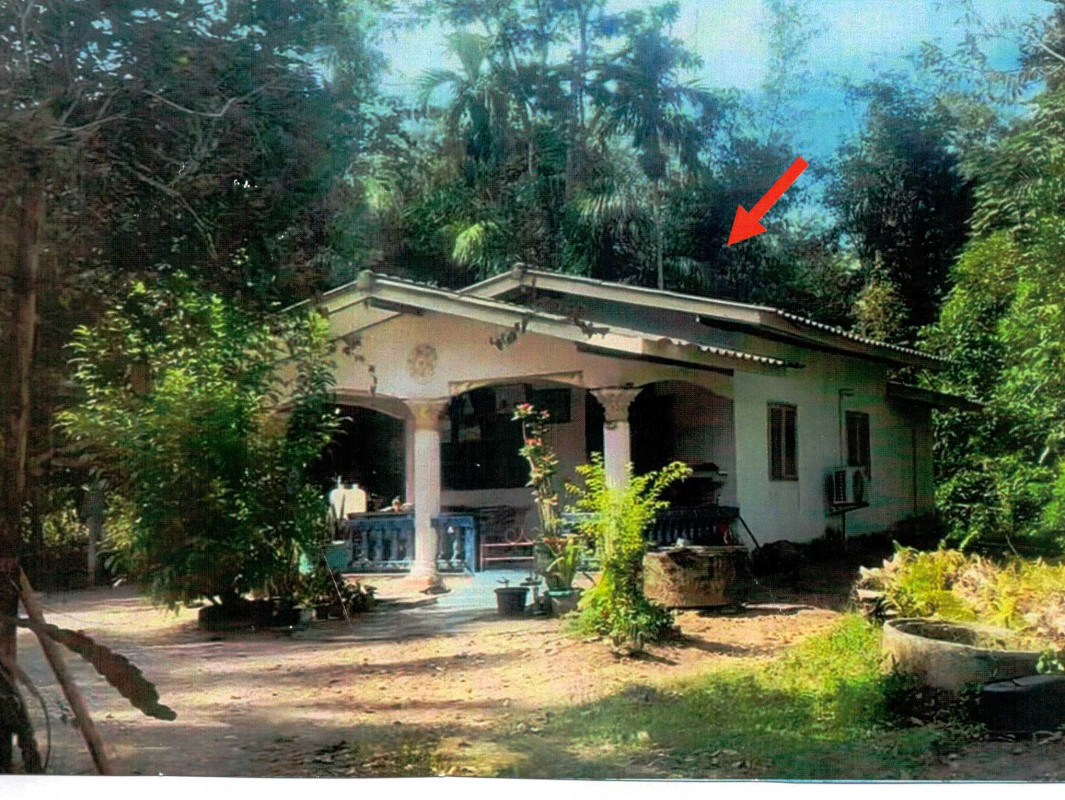 บ้านเดี่ยว นครศรีธรรมราช ช้างกลาง หลักช้าง 694390