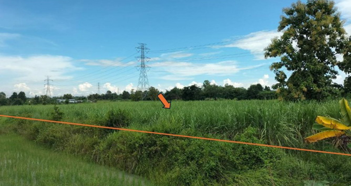 Residential land/lot Khon Kaen Ban Fang Nong Bua 150570