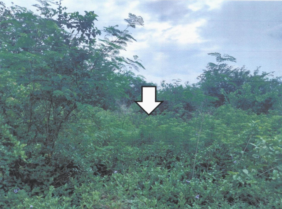 ที่ดินเปล่า ประจวบคีรีขันธ์ สามร้อยยอด สามร้อยยอด 134400