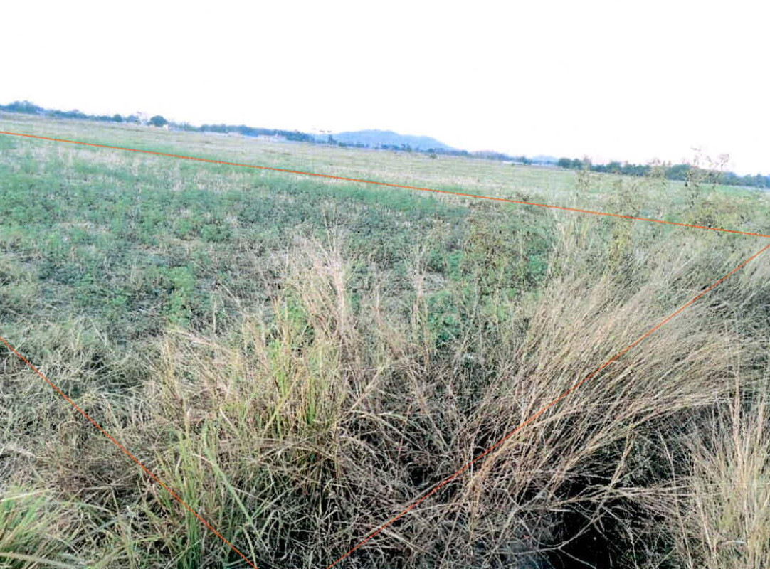 ที่ดินเปล่า ลำปาง แม่ทะ นาครัว 181260