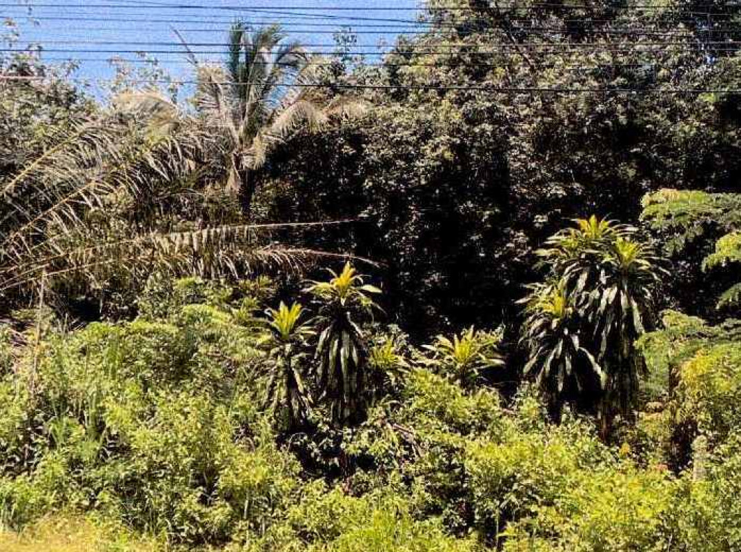 ที่ดินเปล่า หนองคาย รัตนวาปี พระบาทนาสิงห์ 1532692