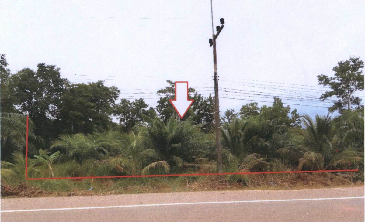 ที่ดินเปล่า กระบี่ คลองท่อม ทรายขาว 852500