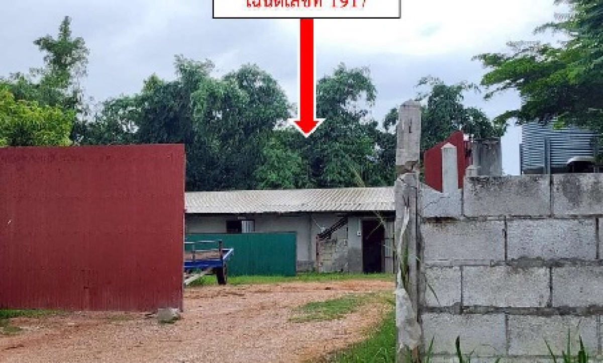 บ้านเดี่ยว ขอนแก่น ซำสูง คูคำ 1570360