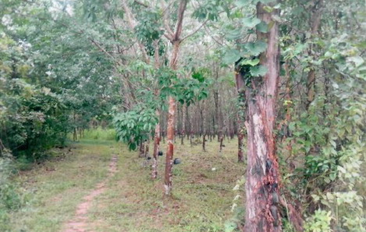 บ้านเดี่ยว นครพนม นาแก นาแก 311600