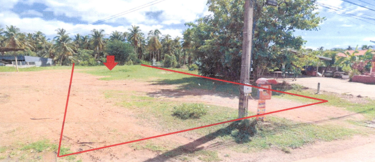 ที่ดินเปล่า ประจวบคีรีขันธ์ สามร้อยยอด ไร่ใหม่ 398000