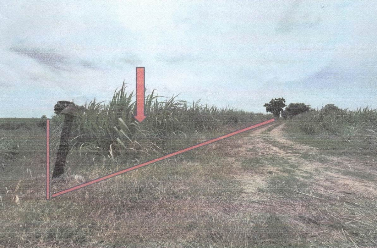 ที่ดินเปล่า ชัยภูมิ บำเหน็จณรงค์ โคกเริงรมย์ 392000