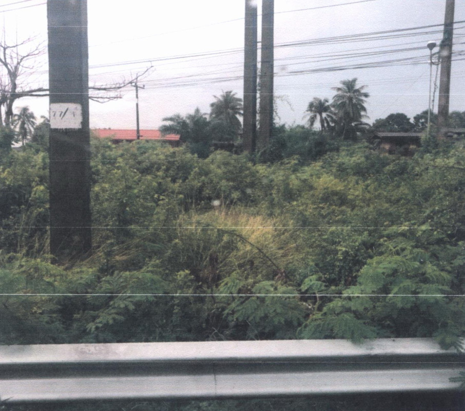 ที่ดินเปล่า สงขลา สิงหนคร ม่วงงาม 110000