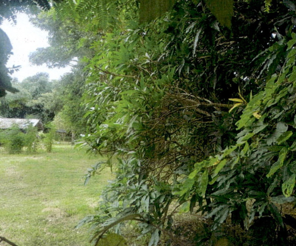 ที่ดินเปล่า ลำปาง ห้างฉัตร เวียงตาล 104000