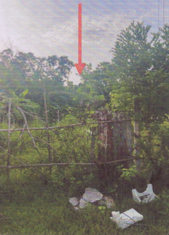 ที่ดินเปล่า สงขลา หาดใหญ่ คลองอู่ตะเภา 220000