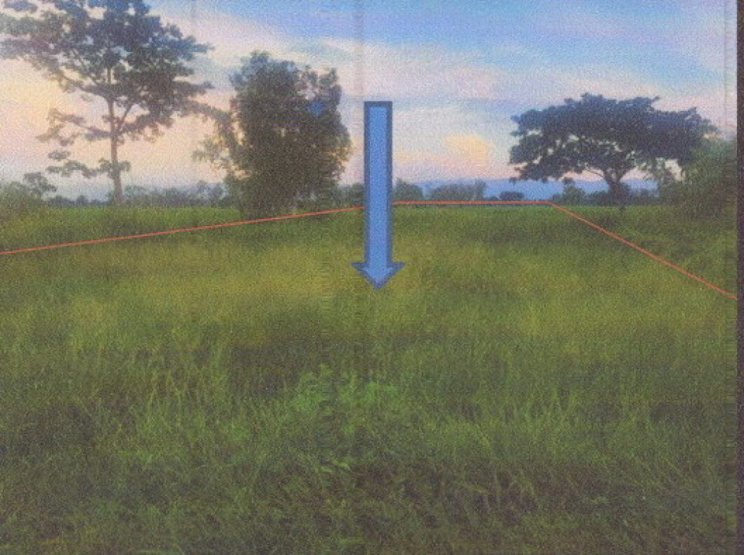 ที่ดินเปล่า ลำปาง เถิน ล้อมแรด 675100