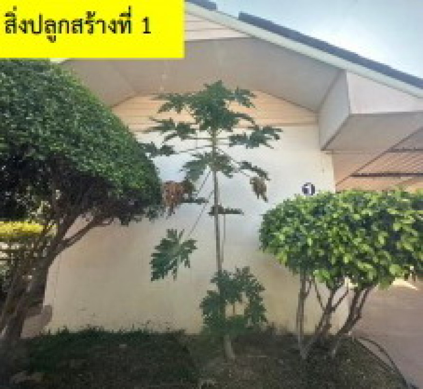 บ้านเดี่ยว กาฬสินธุ์ หนองกุงศรี ลำหนองแสน 3458000