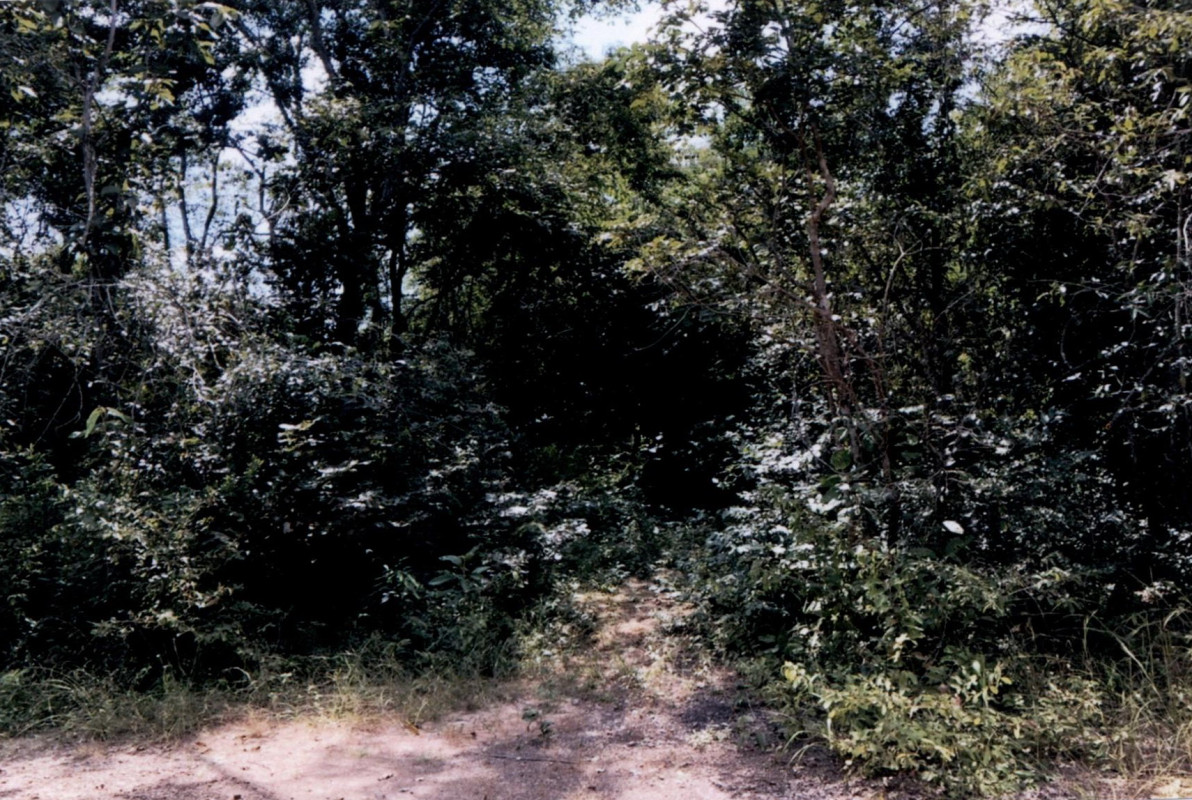 ที่ดินเปล่า ลำปาง เถิน ล้อมแรด 270000