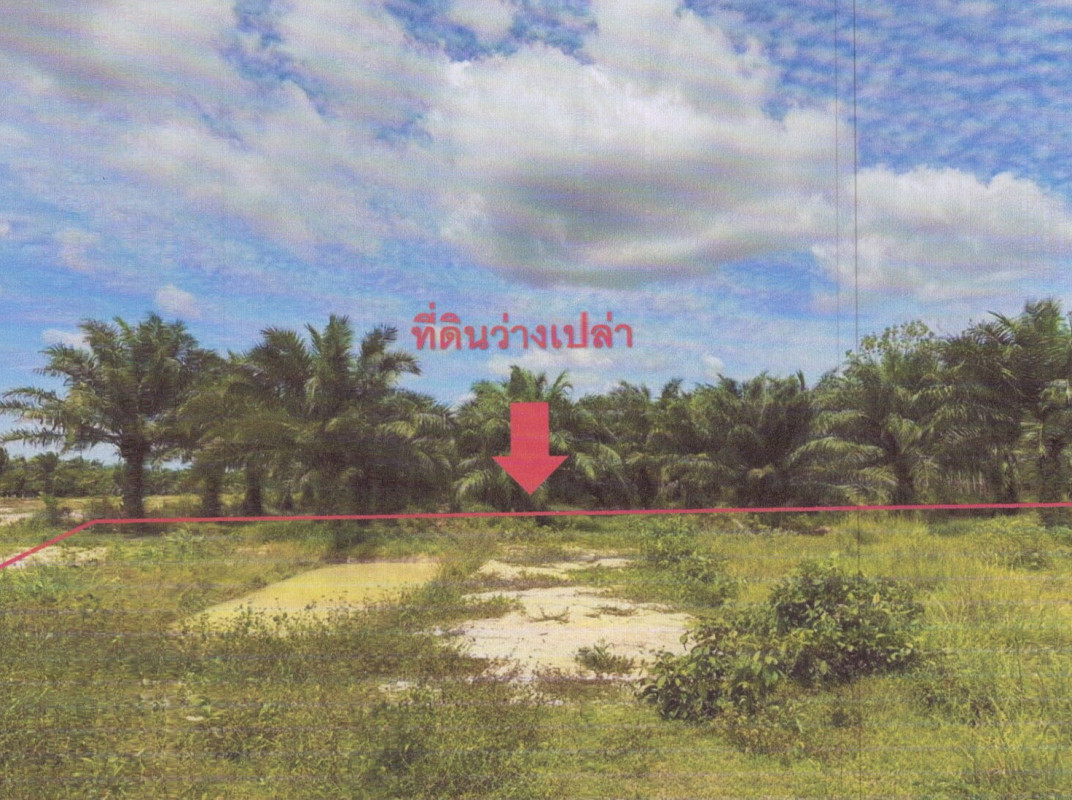 ที่ดินเปล่า สงขลา ควนเนียง ควนโส 229050
