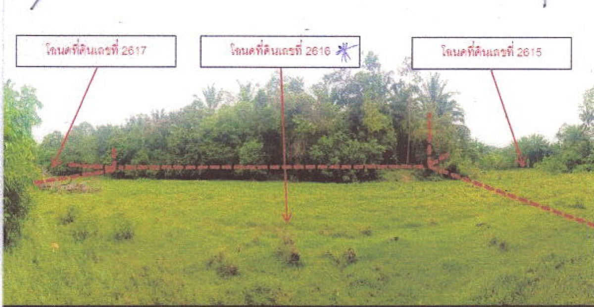 ที่ดินเปล่า กระบี่ คลองท่อม ทรายขาว 1489315