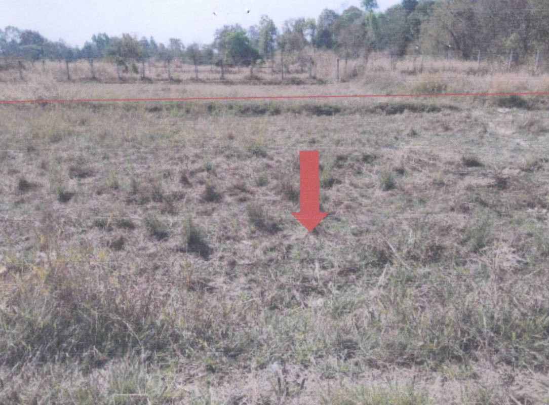 ที่ดินเปล่า กาฬสินธุ์ กุฉินารายณ์ บัวขาว 97350