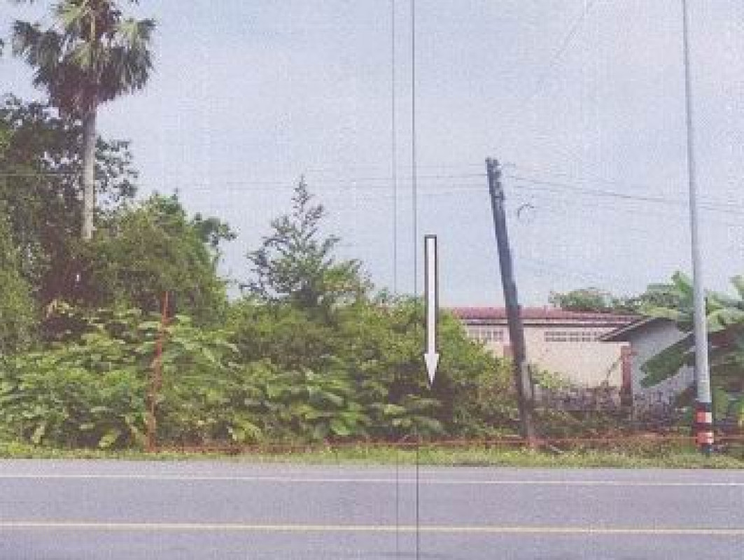 ที่ดินเปล่า สงขลา ระโนด ระโนด 320000