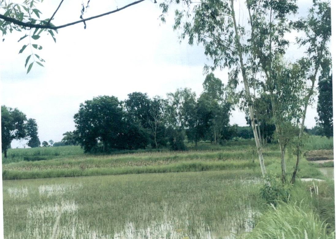 ที่ดินเปล่า กาฬสินธุ์ หนองกุงศรี โคกเครือ 394000