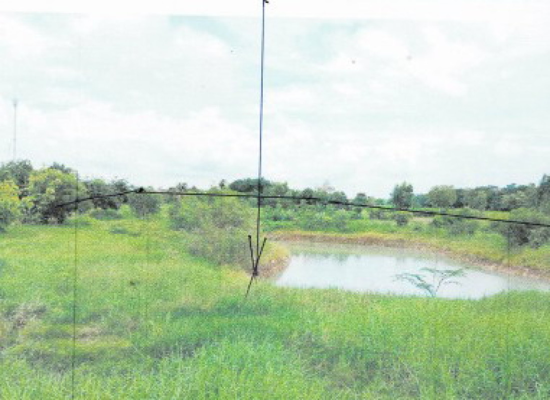 ที่ดินเปล่า กาฬสินธุ์ กมลาไสย หนองแปน 1040000