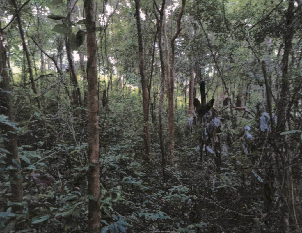 ที่ดินเปล่า สุราษฎร์ธานี เกาะสมุย แม่น้ำ 765750