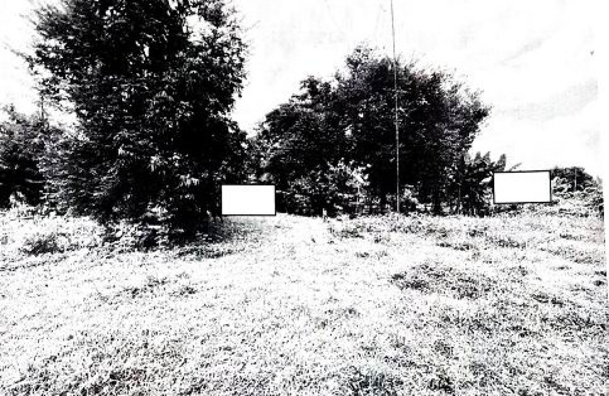 Residential land/lot Sakon Nakhon Khok Si Suphan Dan Muang Kham 4290