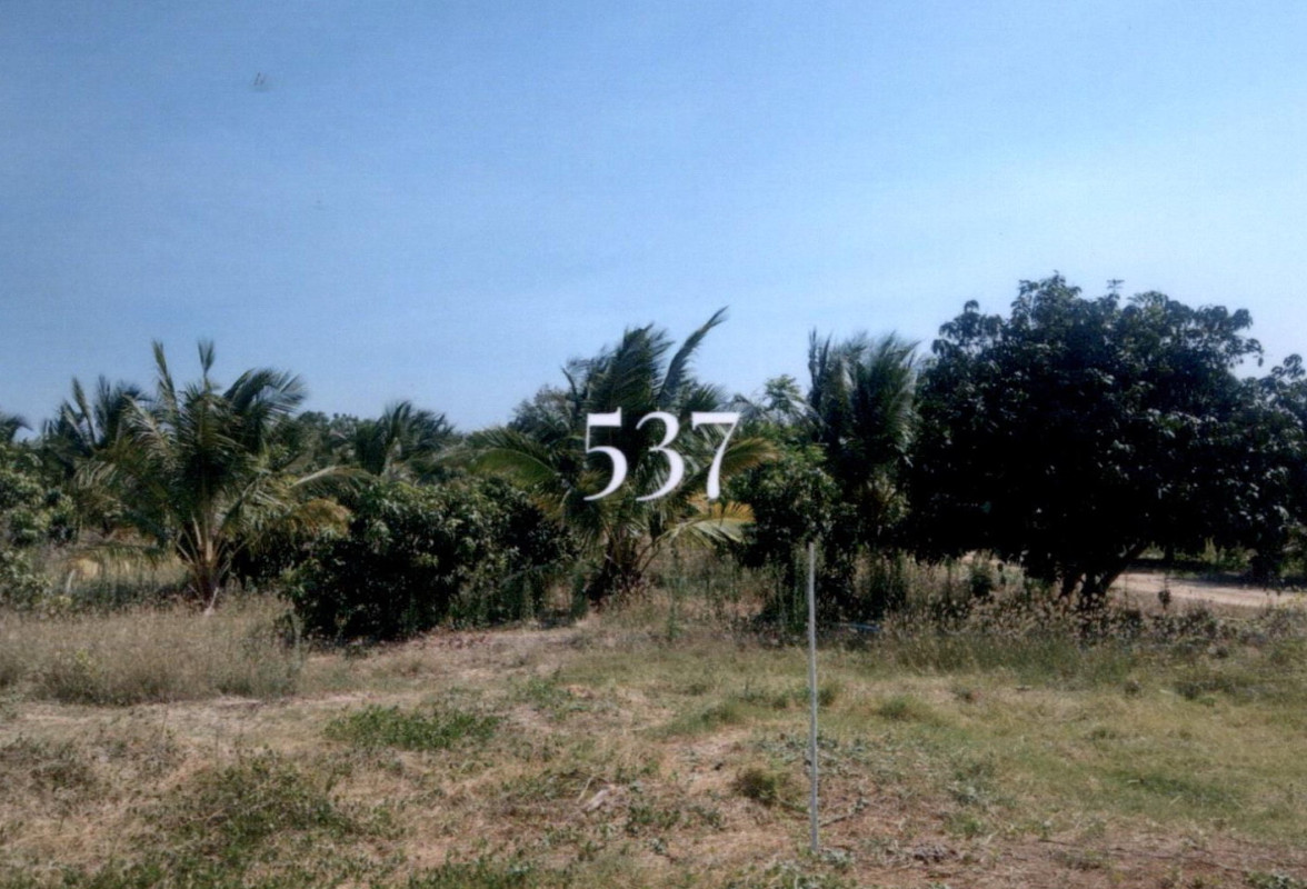 ที่ดินเปล่า เพชรบุรี ท่ายาง ท่าคอย 1668800