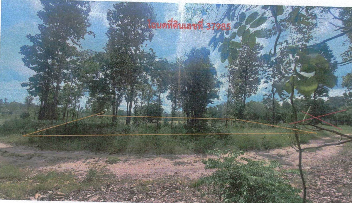 Residential land/lot Chaiyaphum Ban Khwao Phu Laen Kha 168300
