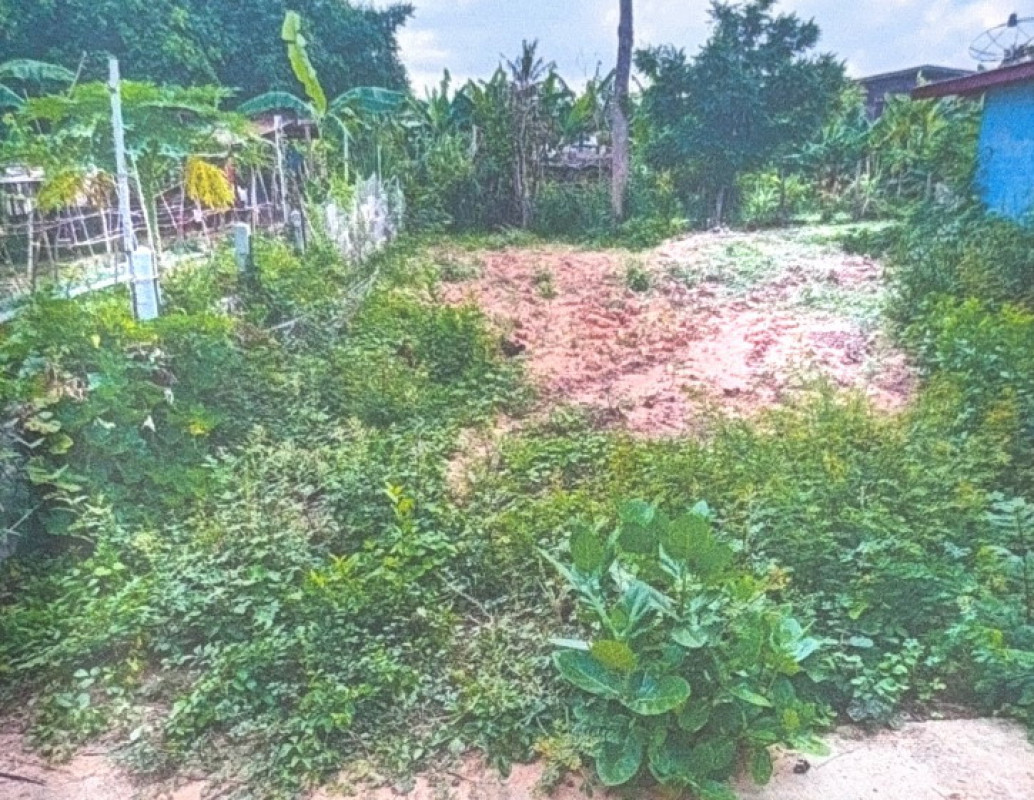 ที่ดินเปล่า มหาสารคาม ยางสีสุราช ยางสีสุราช 37600