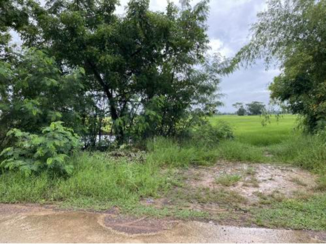 ที่ดินเปล่า มหาสารคาม กันทรวิชัย นาสีนวน 720000