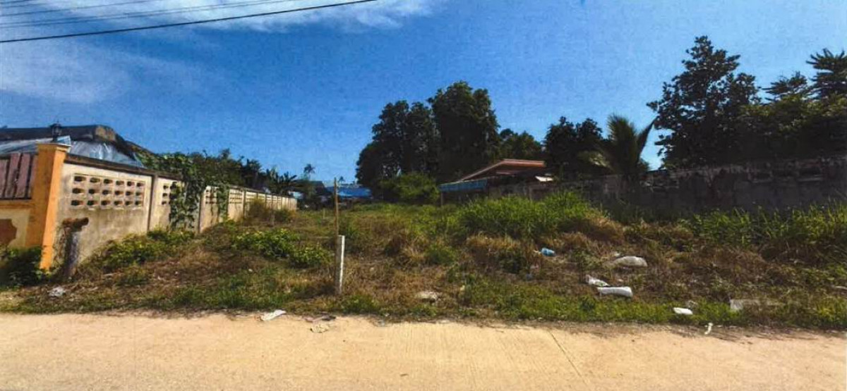 ที่ดินเปล่า ชลบุรี บางละมุง หนองปรือ 1088590