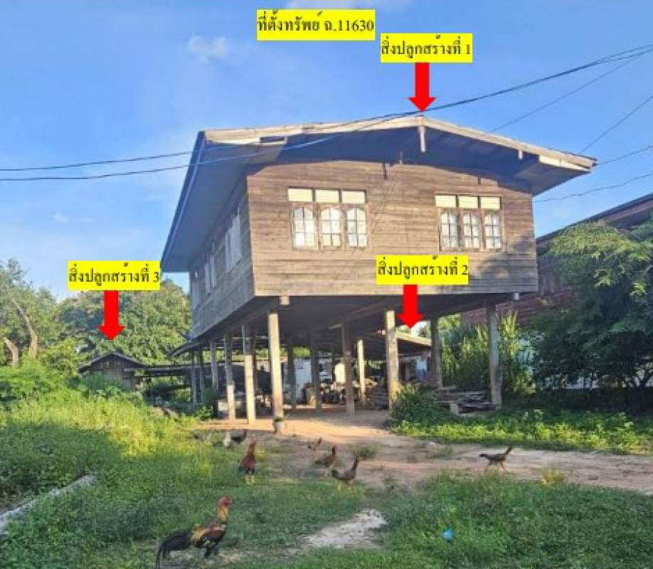 บ้านเดี่ยว กาฬสินธุ์ หนองกุงศรี หนองบัว 390000