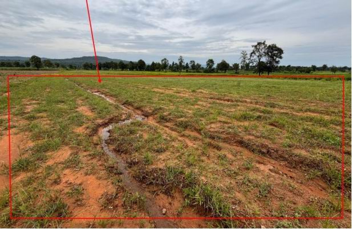 ที่ดินเปล่า กาฬสินธุ์ สามชัย สำราญ 441000