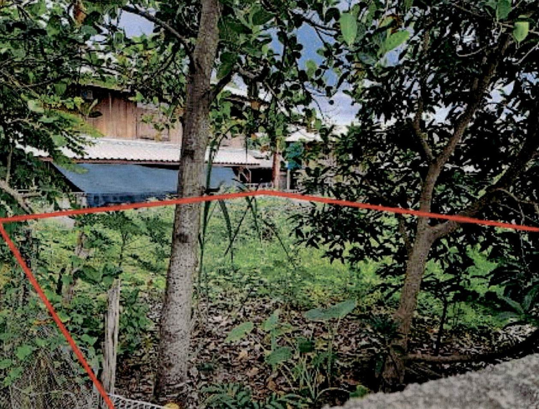 ที่ดินเปล่า ลำปาง เสริมงาม เสริมซ้าย 8740