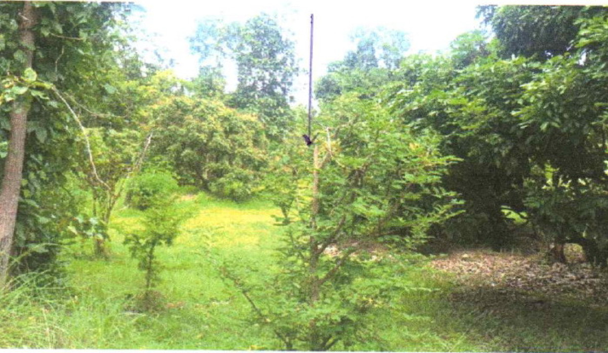 ที่ดินเปล่า เชียงใหม่ ดอยเต่า ท่าเดื่อ 207500