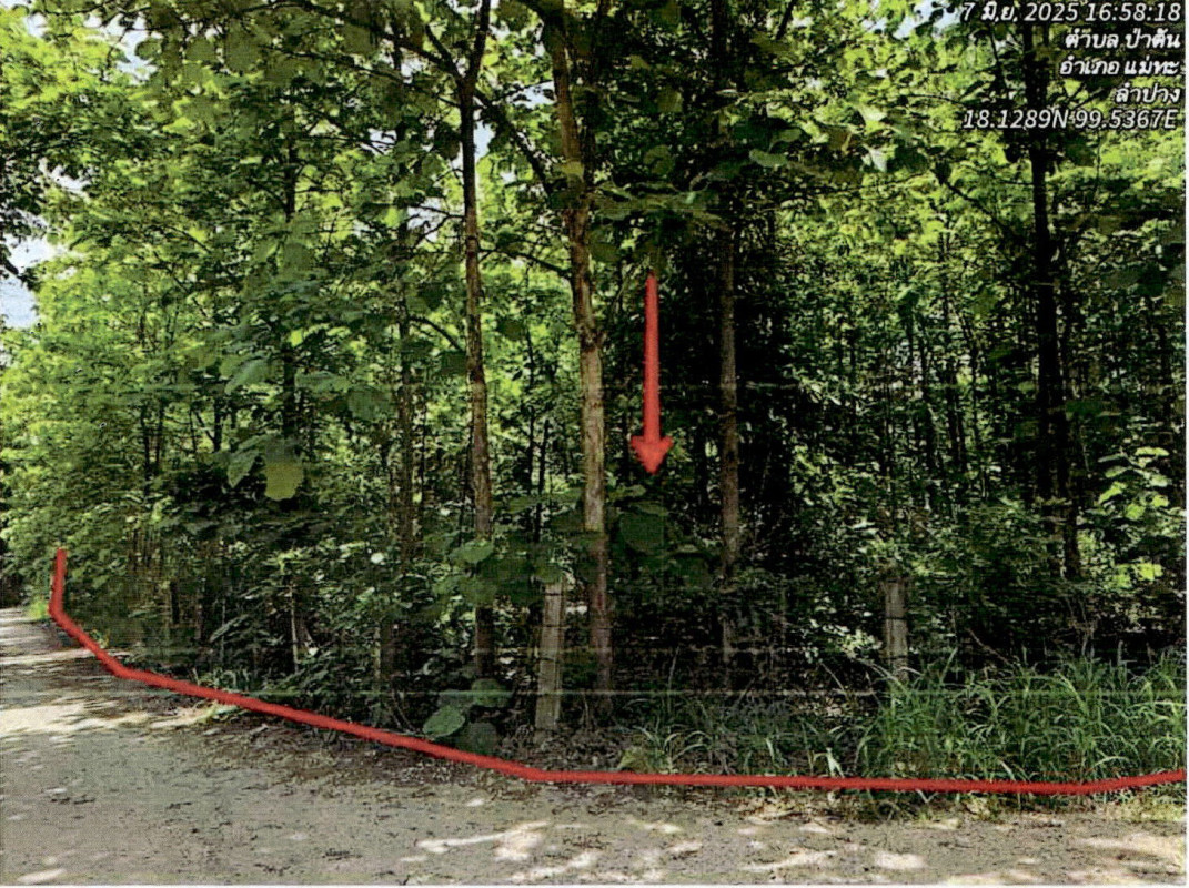 ที่ดินเปล่า ลำปาง แม่ทะ นาครัว 1587660