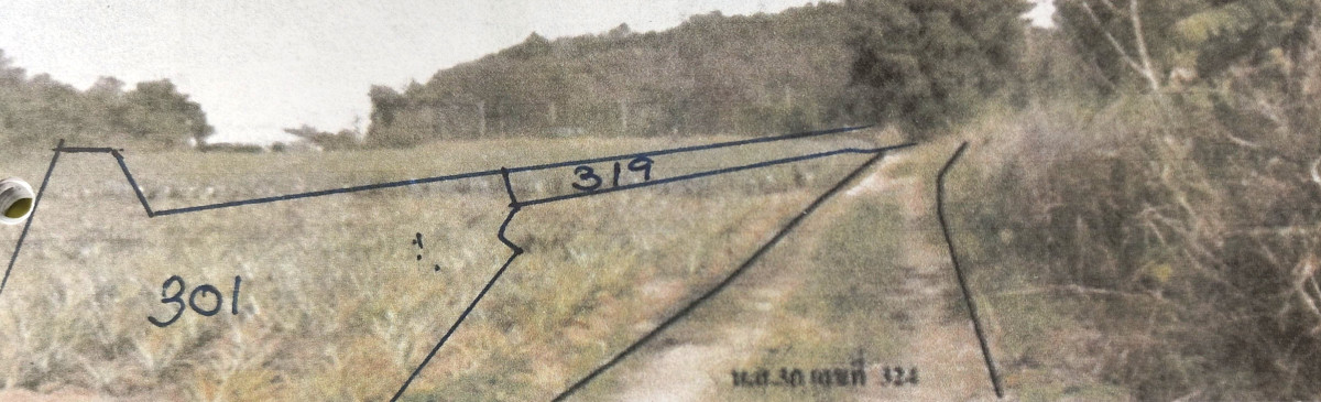 ที่ดินเปล่า ราชบุรี บ้านคา บ้านบึง 2652600