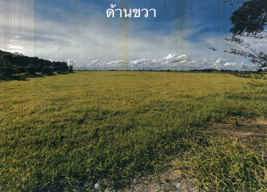 ที่ดินเปล่า ลพบุรี ท่าวุ้ง เขาสมอคอน 1297660