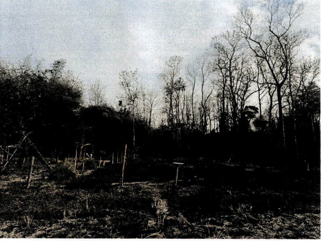 ที่ดินเปล่า ลำปาง เมืองปาน ทุ่งกว๋าว 34800