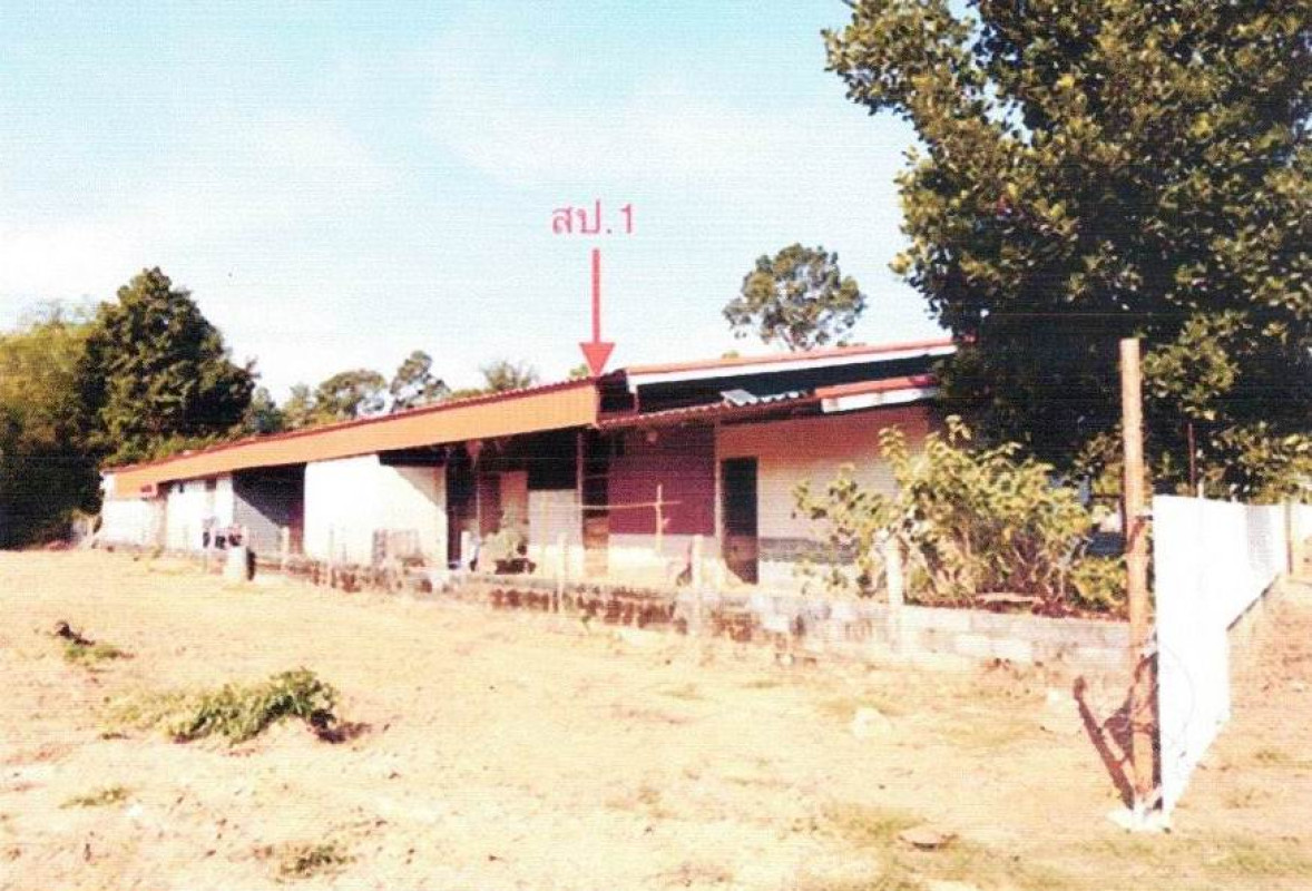 บ้านเดี่ยว สระแก้ว เมืองสระแก้ว โคกปี่ฆ้อง 2338494