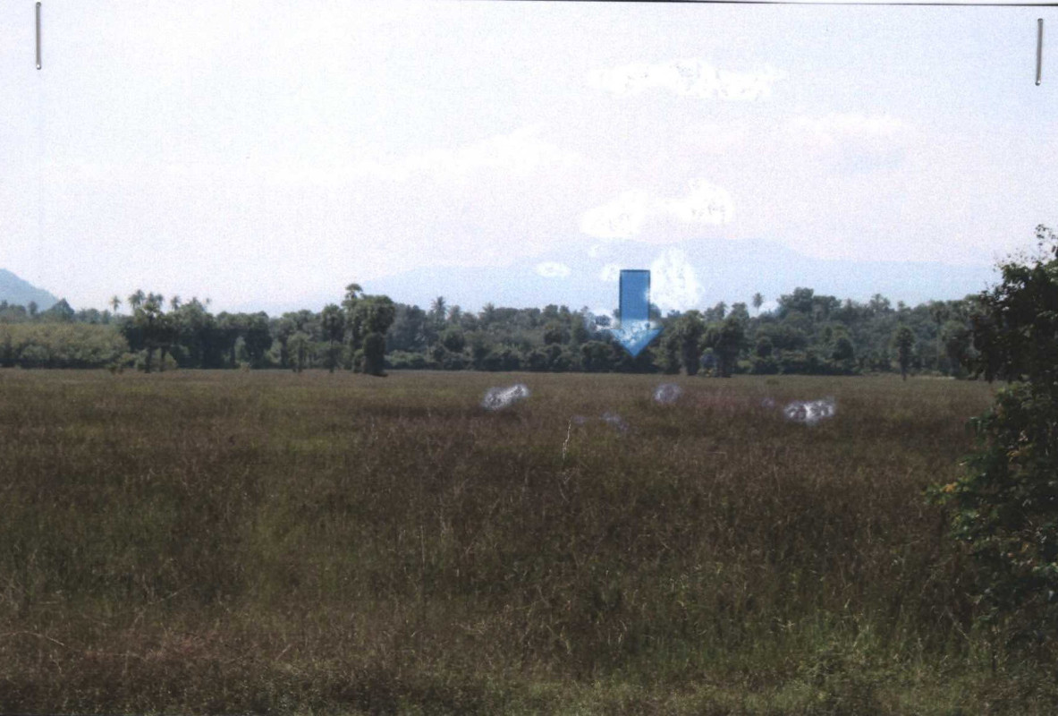 ที่ดินเปล่า ปัตตานี หนองจิก บ่อทอง 325325