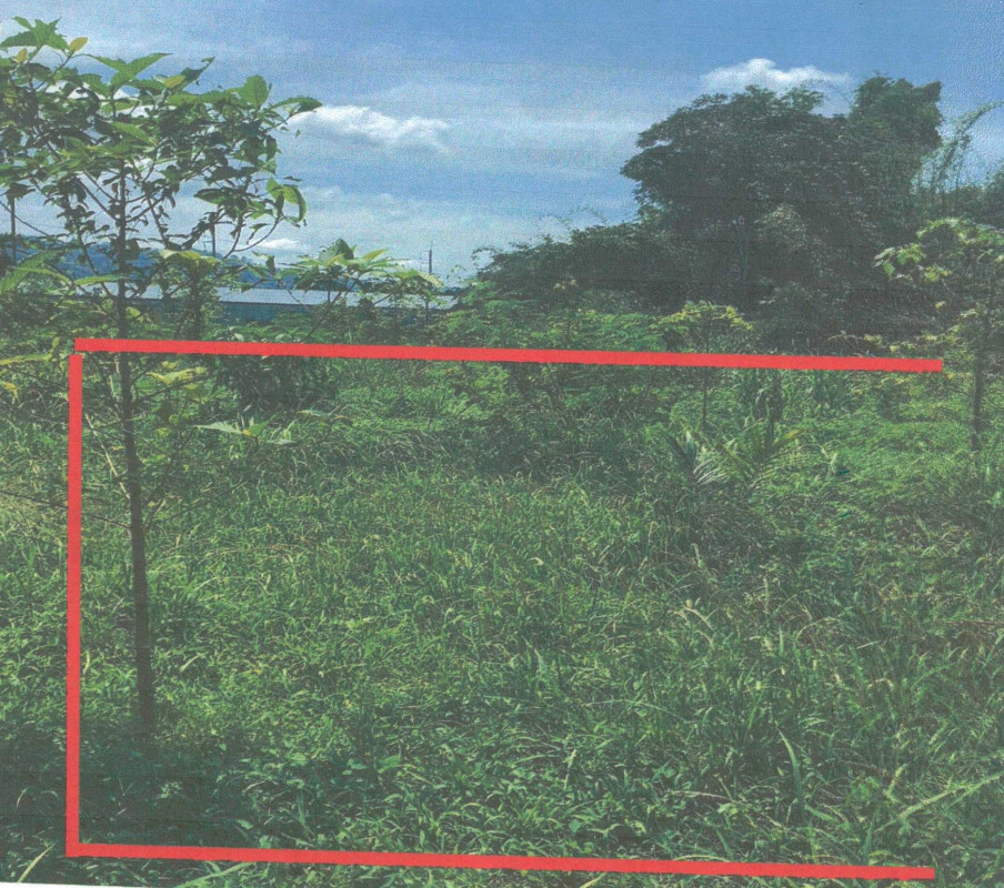 ที่ดินเปล่า นครศรีธรรมราช ร่อนพิบูลย์ ร่อนพิบูลย์ 57500