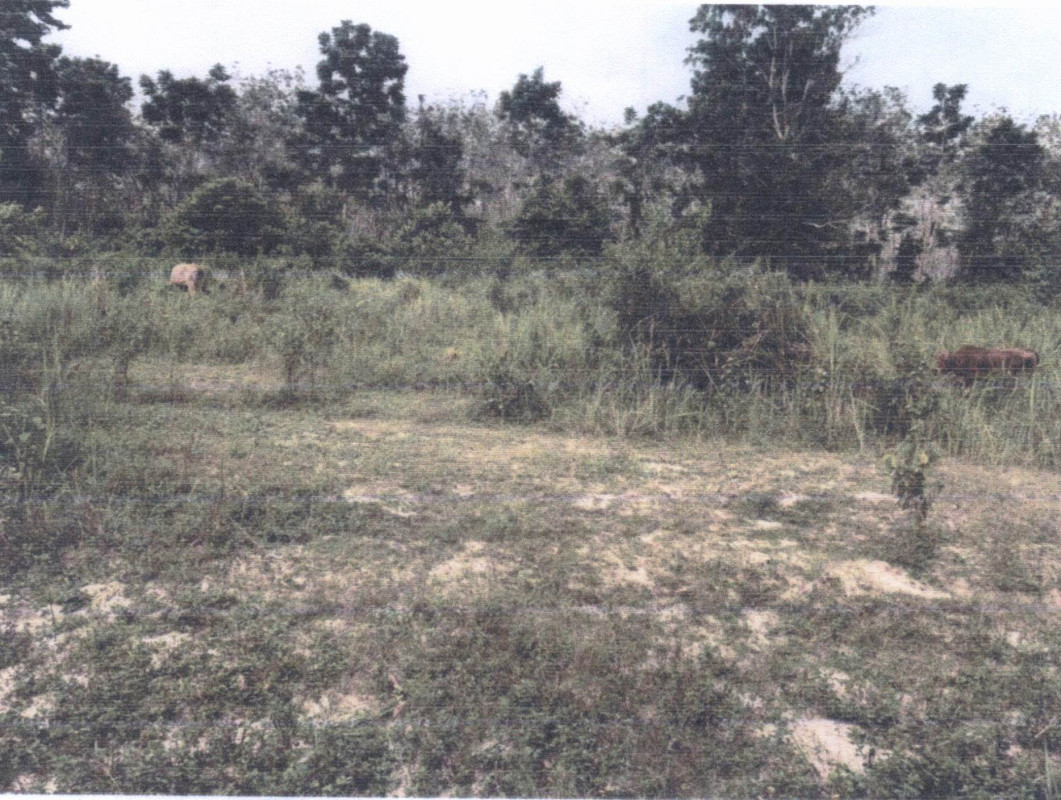 ที่ดินเปล่า สงขลา นาทวี ประกอบ 1407350