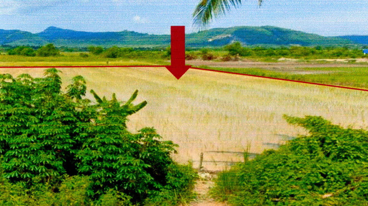 ที่ดินเปล่า ปัตตานี มายอ กระหวะ 54240